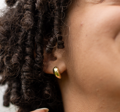 Bean Studs